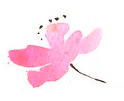 ToughMoM - Voor vrouwen die sporten tijdens en na hun zwangerschap! Fit blijven tijdens en na de zwangerschap