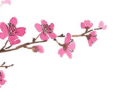 ToughMoM - Voor vrouwen die sporten tijdens en na hun zwangerschap! Fit blijven tijdens en na de zwangerschap